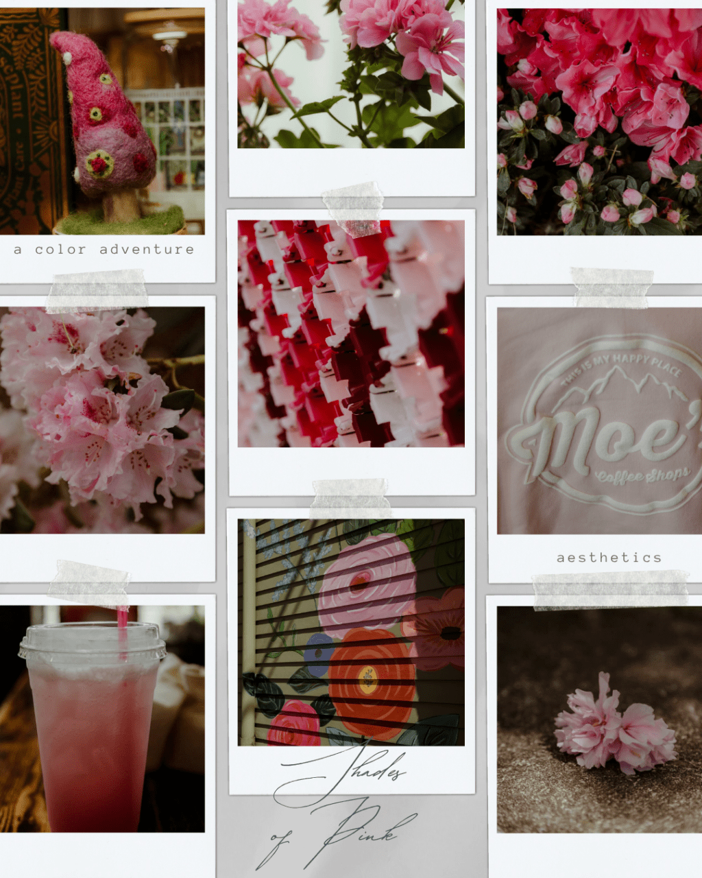 A Walk Through Town in Shades of Pink