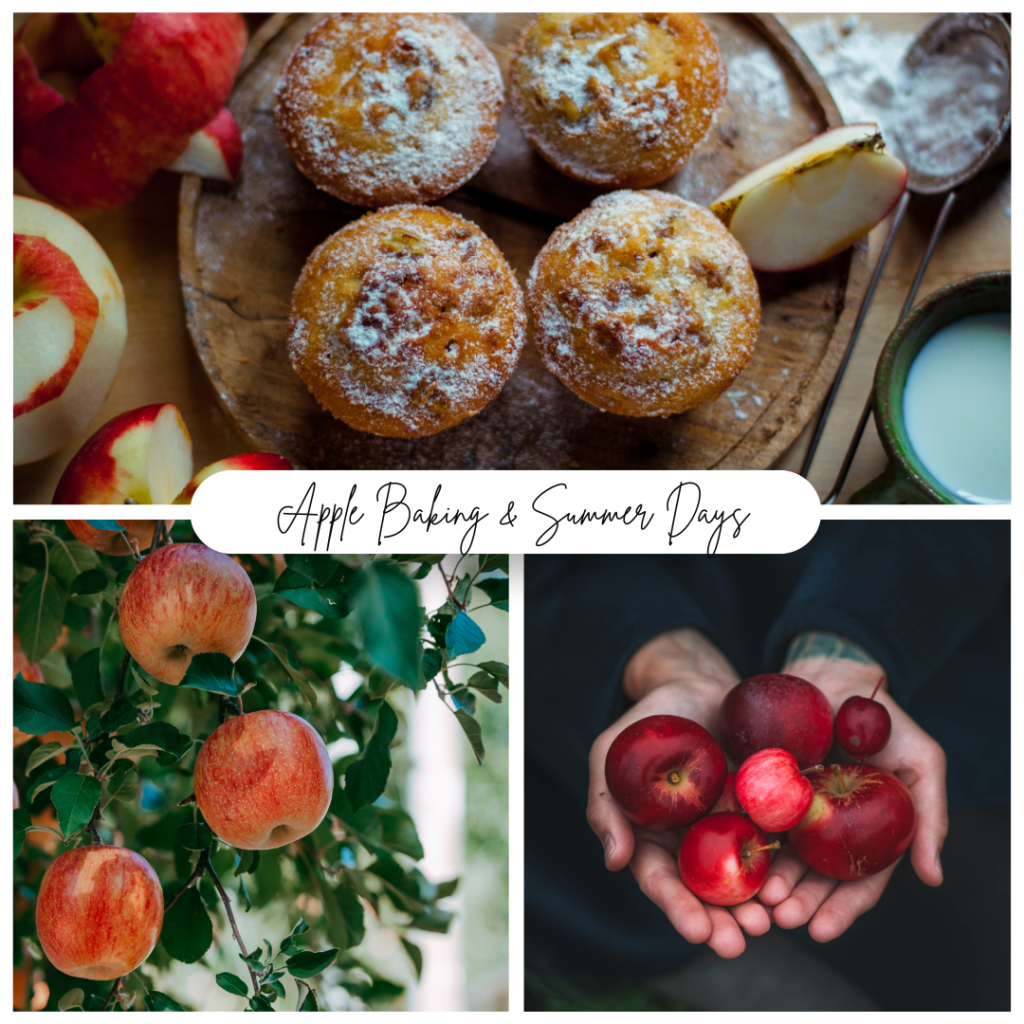 The First Apples & the Last Days of Summer
