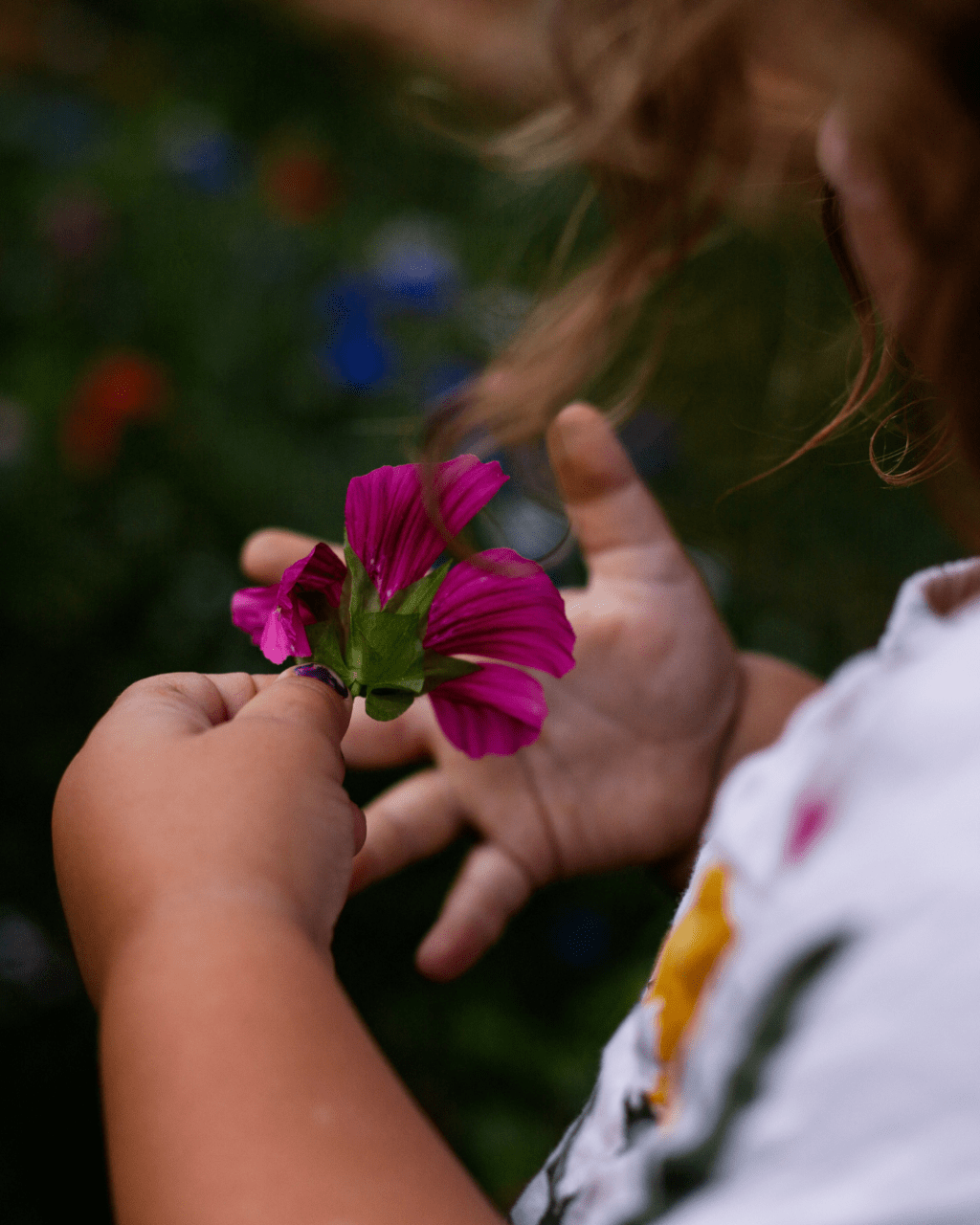 Holding Onto the Last Light of Summer